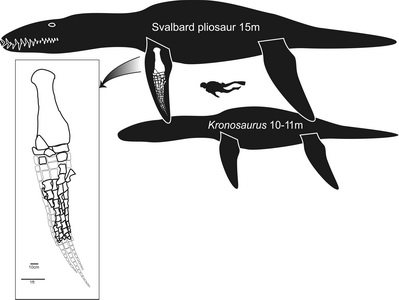 (c) Naturhistorisk museum, Universitetet i Oslo