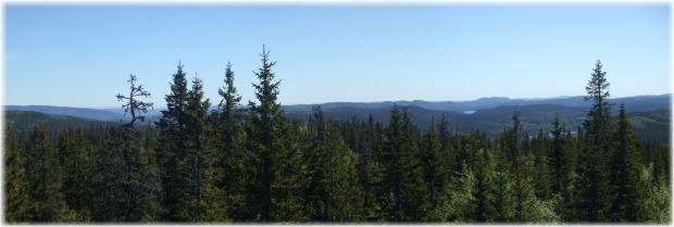 Vista sureste desde el punto mas alto de Nordmarka