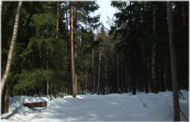 Pista de esqui cerca de Maridalsvannet