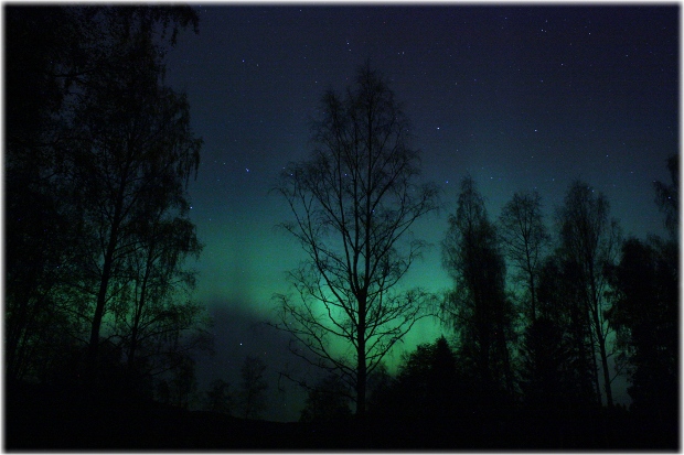 la aurora boreal vista desde Sognsvann