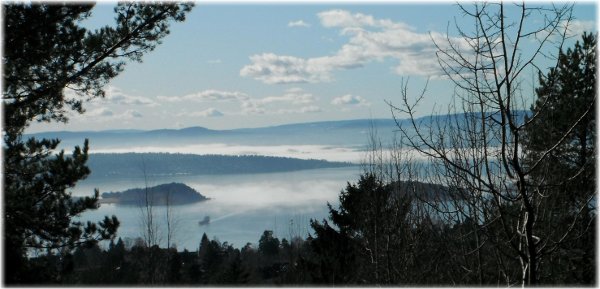 Niebla sobre el fiordo de Oslo