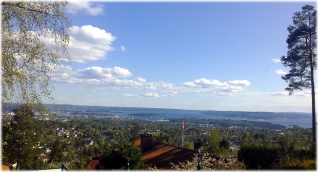 Vista de Oslo y su fiordo