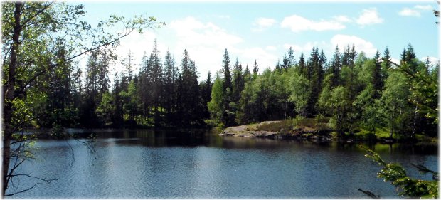 Bosque de Noruega